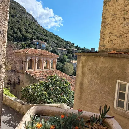 Les Voutes De Pascaline, Vue Et Montagne, * Lama